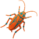 Roach pest control icon